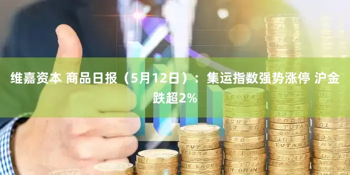维嘉资本 商品日报（5月12日）：集运指数强势涨停 沪金跌超2%