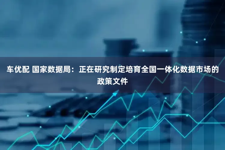 车优配 国家数据局：正在研究制定培育全国一体化数据市场的政策文件