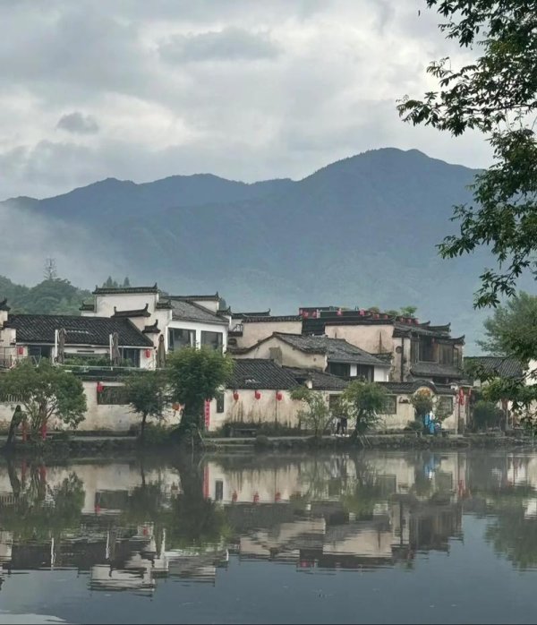 沪深股票配资 探秘黟县“五黑”特色农业产业：珠兰黟红茶的千年传承与创新_大皖新闻 | 安徽网