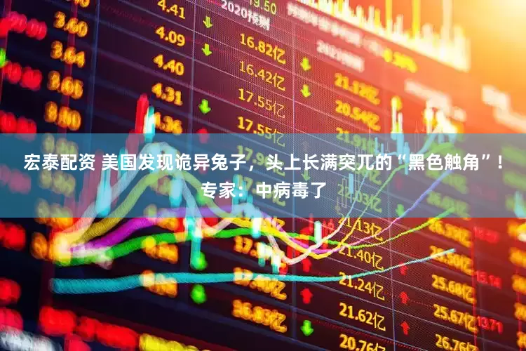 宏泰配资 美国发现诡异兔子，头上长满突兀的“黑色触角”！专家：中病毒了