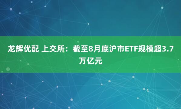 龙辉优配 上交所：截至8月底沪市ETF规模超3.7万亿元